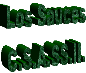 Los Sauces
C.S.A.SS.II.